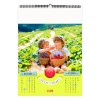 Illustre gouters d enfants 2025 - 7 feuillets - xxl 330x490 mm - reliure spirale - marquage quadri - page de garde repiquee