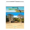 Illustre douceurs de mayotte  2025 - 7 feuillets - xxl 330x490 mm - reliure spirale - marquage quadri - page de garde repiquee