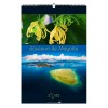 Illustre douceurs de mayotte  2025 - 7 feuillets - xxl 330x490 mm - reliure spirale - marquage quadri - page de garde repiquee