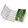 Emma 2025 marquage quadri vernis brillant recto