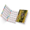 Christian 2025 marquage quadri vernis brillant recto