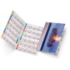 Dorian 2025 marquage quadri vernis brillant recto
