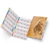 Dorian 2025 marquage quadri vernis brillant recto