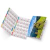 Dorian 2025 marquage quadri vernis brillant recto