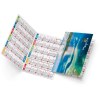 Ella 2025 marquage quadri vernis brillant recto