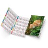 Felix 2025 marquage quadri vernis brillant recto