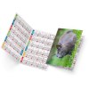 Felix 2025 marquage quadri vernis brillant recto