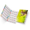 Felix 2025 marquage quadri vernis brillant recto