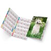 Fidele 2025 marquage quadri vernis brillant recto