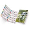 Fidele 2025 marquage quadri vernis brillant recto