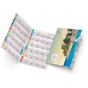 Lila 2025 marquage quadri vernis brillant recto