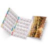 Marco 2025 marquage quadri vernis brillant recto