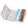 Roberto 2025 marquage quadri vernis brillant recto