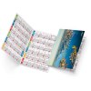 Roberto 2025 marquage quadri vernis brillant recto