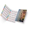 Roberto 2025 marquage quadri vernis brillant recto
