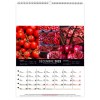 Calendrier mural couleurs marche 2025 marquage quadri