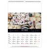 Calendrier mural couleurs marche 2025 marquage quadri