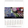 Calendrier mural couleurs marche 2025 marquage quadri