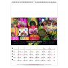 Calendrier mural mayotte 2025 marquage quadri