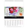 Scolaire calendrier mural couleurs cuisine 2025 marquage quadri