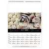 Scolaire calendrier mural couleurs marche 2025 marquage quadri
