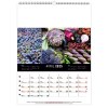 Scolaire calendrier mural couleurs marche 2025 marquage quadri
