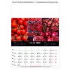 Scolaire calendrier mural couleurs marche 2025 marquage quadri