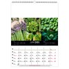 Scolaire calendrier mural couleurs marche 2025 marquage quadri