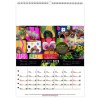 Scolaire calendrier mural mayotte 2025 marquage quadri