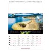Scolaire calendrier mural mayotte 2025 marquage quadri