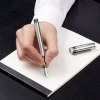 Stylo plume Bold Stripe Chrome & Gun