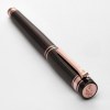 Stylo plume Bold Stripe Gun & Rose Doré