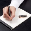 Stylo plume Bold Stripe Gun & Rose Doré