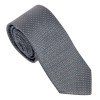 Cravate Soie Caprio Gris