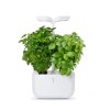 Potager Exky® CLASSIC