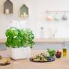 Potager Exky® CLASSIC