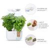 Potager Exky® CLASSIC