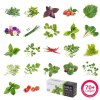 Potager Exky® CLASSIC