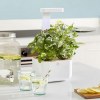 Botaneo Indoor Garden - VERITABLE