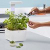Botaneo Indoor Garden - VERITABLE