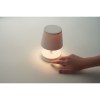 TAPLAMB - Lampe de table rechargeable