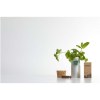 Jardinet de bureau Hey Pots avec mélange d'herbes aromatiques