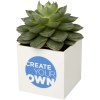 Pot en aluminium avec cactus Hey Pots