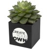 Pot en aluminium avec cactus Hey Pots