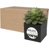 Pot en aluminium avec cactus Hey Pots