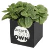 Pot en aluminium avec plante grasse Hey Pots