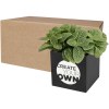 Pot en aluminium avec plante grasse Hey Pots