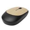 Souris d’ordinateur optique DPI MASTER