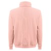 THC VILNIUS. Sweat-shirt unisexe, avec capuche
