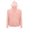 THC VILNIUS. Sweat-shirt unisexe, avec capuche